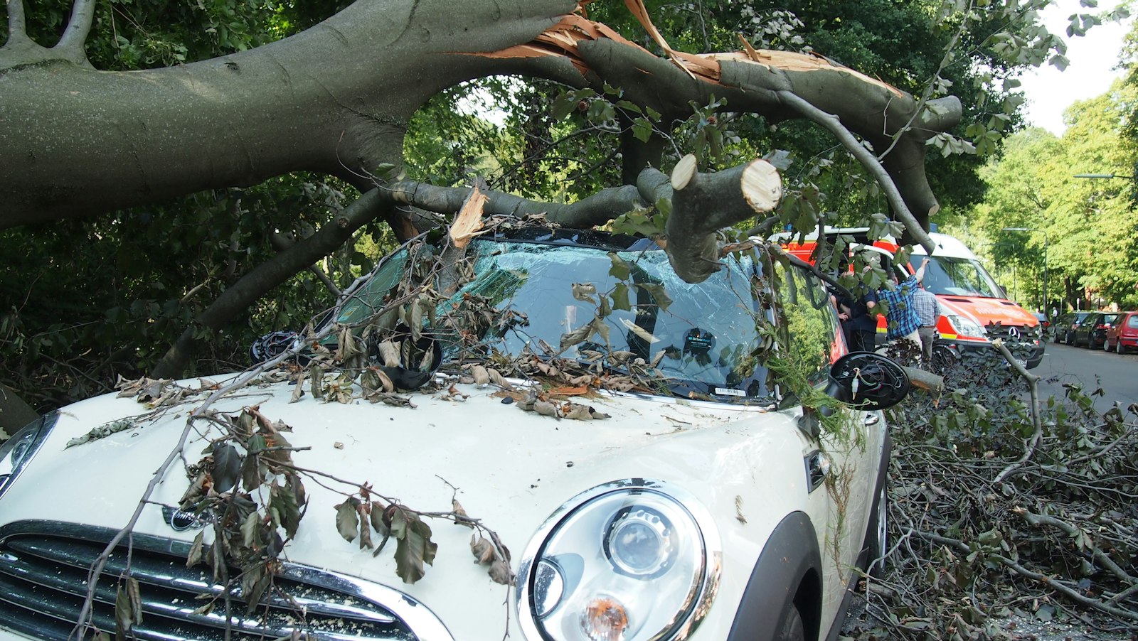 Storm op komst: wat je verzekering betaalt bij schade aan je elektrische auto